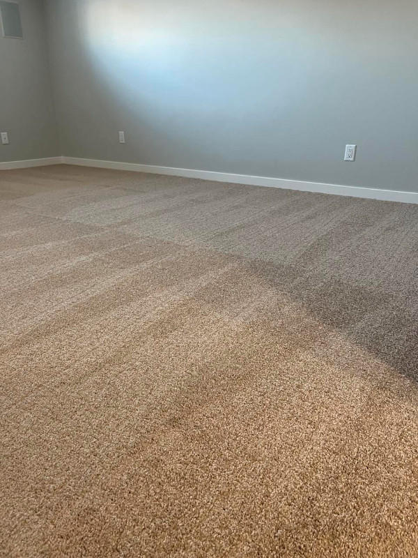 House cleaning / Carpet shampoo / Maid service Cleaners & Cleaning