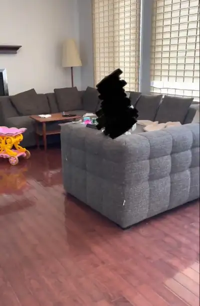 Large Sectional couch, from mobilia, View more