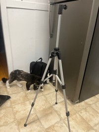 Camera stand (4 ft)
