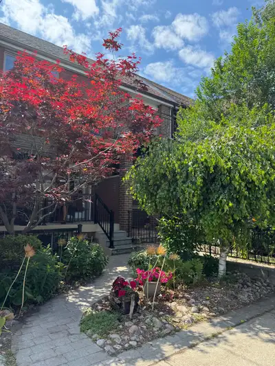 College St 1 bedroom apt