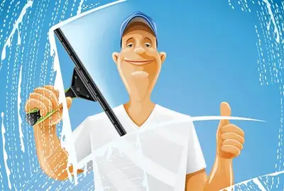 Window cleaner needed in Vaughan, View more