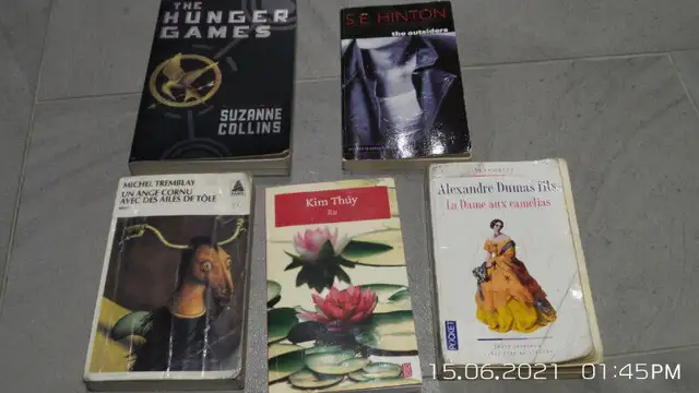 Novels for Secondary School