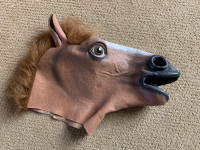 Horse Meme Mask