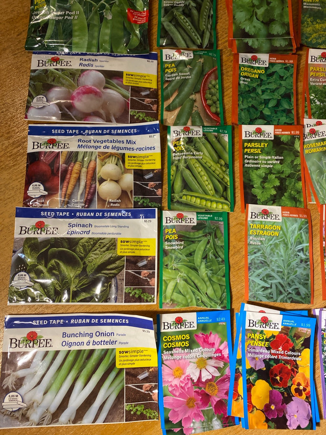 New herbs vegetables flower seed packs for home gardening in Plants, Fertilizer & Soil in Ottawa - Image 4