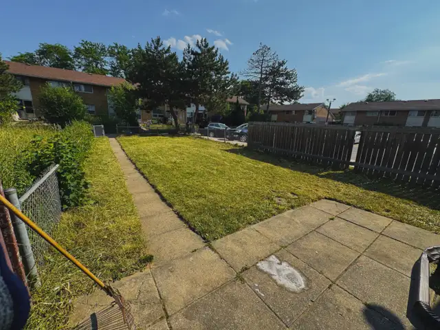Small & Medium Backyard Cut & Cleanup63007358037891121