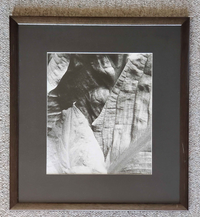 DC Star Wars scenery framed pictures in Arts & Collectibles in Kelowna - Image 4