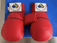 Youth karate mitts