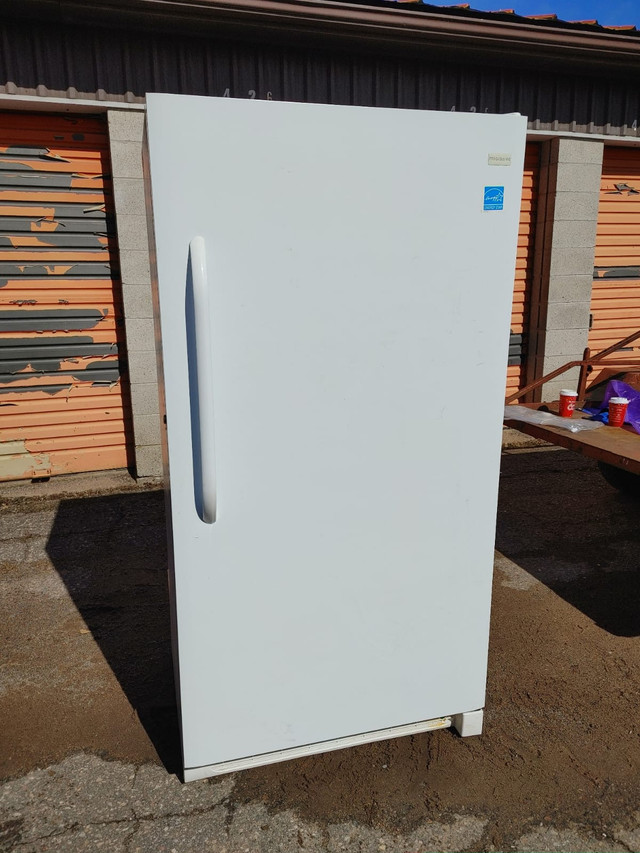 Stand Up Freezer in Freezers in Sault Ste. Marie