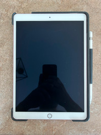 iPad Pro (10.5 inch)