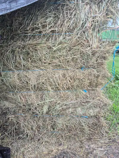 Small square grass hay, View more