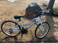 Youth 24 inch Mountain Bike for Sale