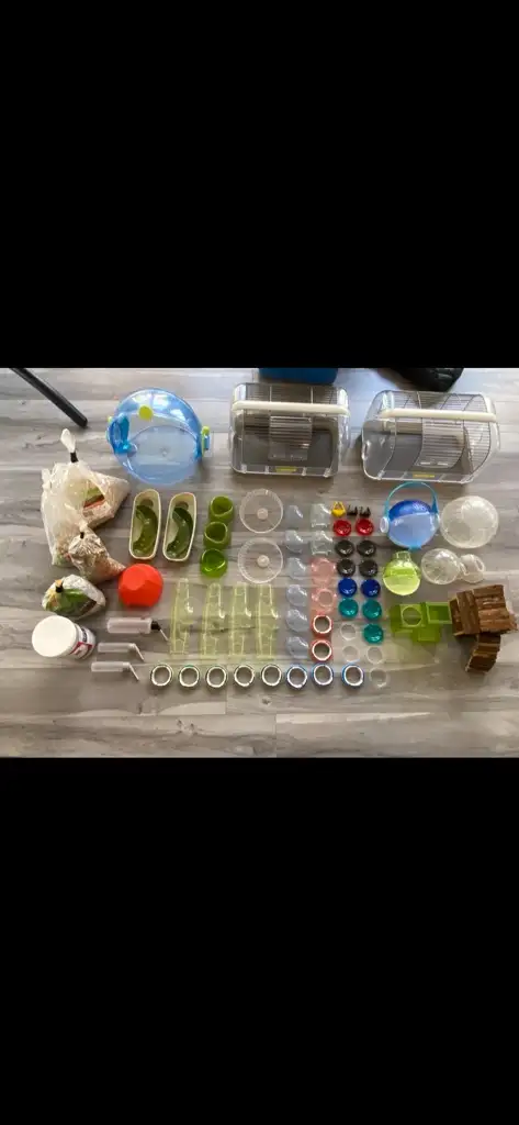 cage pour hamster in Accessories in Lanaudière - Image 2