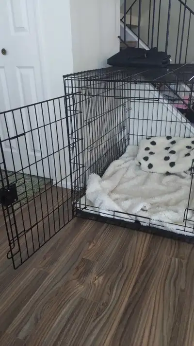 Like New Foldable Extra Large Dog Crate with Cover and Two Doors, View more