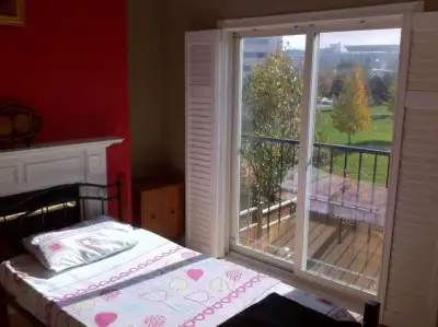 Bright and Sunny Room for International Female Students/Working Females Month to Month, No Lease Req...