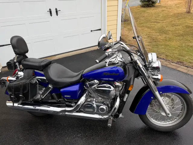 2004 Honda Shadow 750 in Street, Cruisers & Choppers in Saint John - Image 6