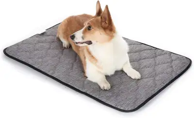 Dog Mat., View more