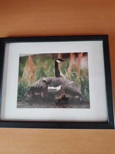 Goose Framed Art, View more