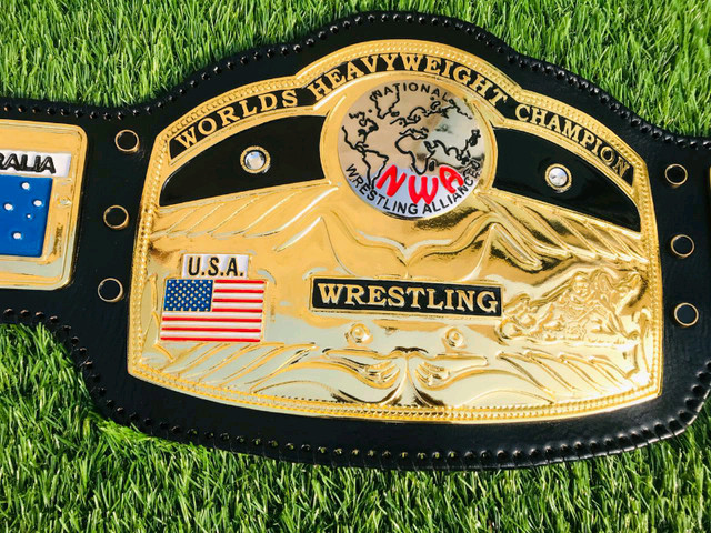 Domed Globe NWA World Heavyweight  Championship Belt Replica in Arts & Collectibles in Oakville / Halton Region - Image 3