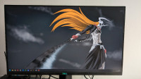 Dell G2422HS 24" 165 Hz