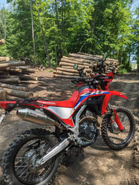 Looking for Honda Crf250l or 300l