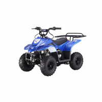 Looking for kids atv 
