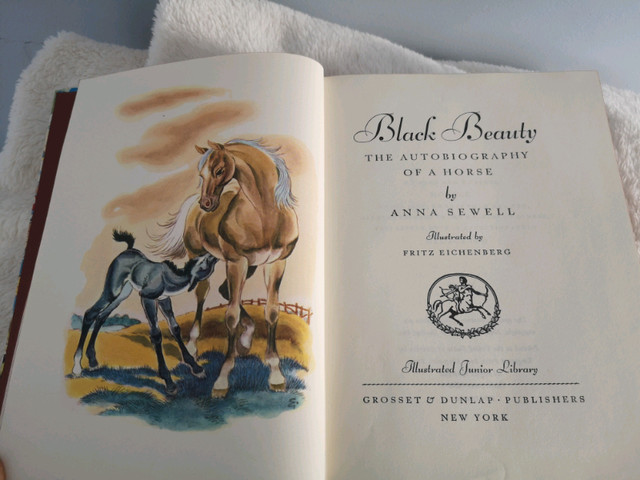 Vintage Black Beauty Illustrated Hardcover Book in Children & Young Adult in Moncton - Image 4