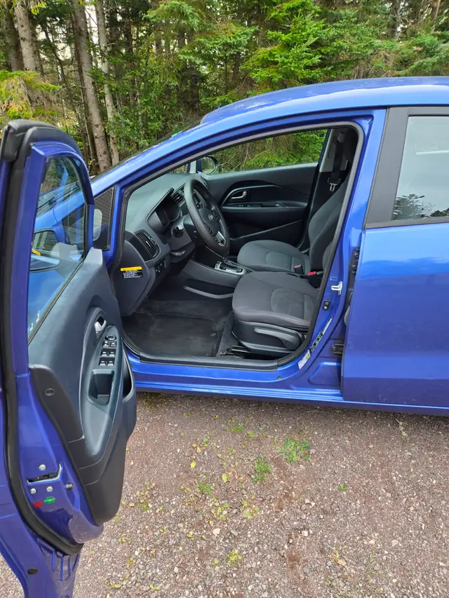 2014 Kia Rio591903162767790086