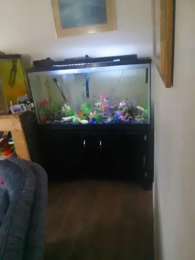 4 foot tank with stand , lids . light , heater 'filter , air bubbles and gravel no leaks