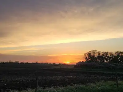 RM of Last Mountain Valley #250 NW 4 27 21 W2 150 cultivated acres SE 9 28 21 W2 150 cultivated acre...