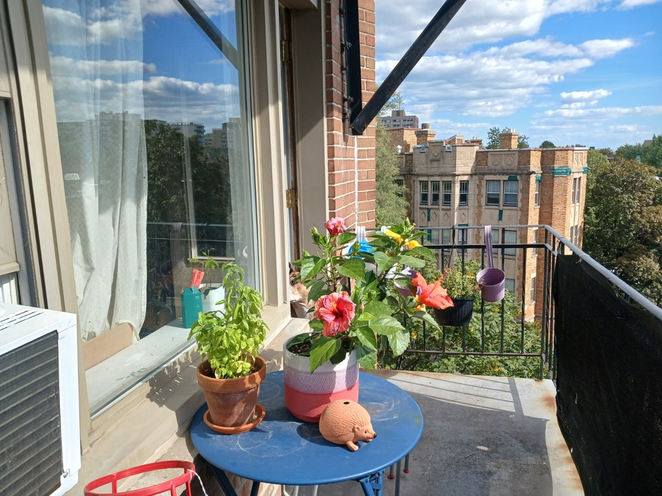 Bright Pet Friendly 3½ in Westmount — $1,540/month 2