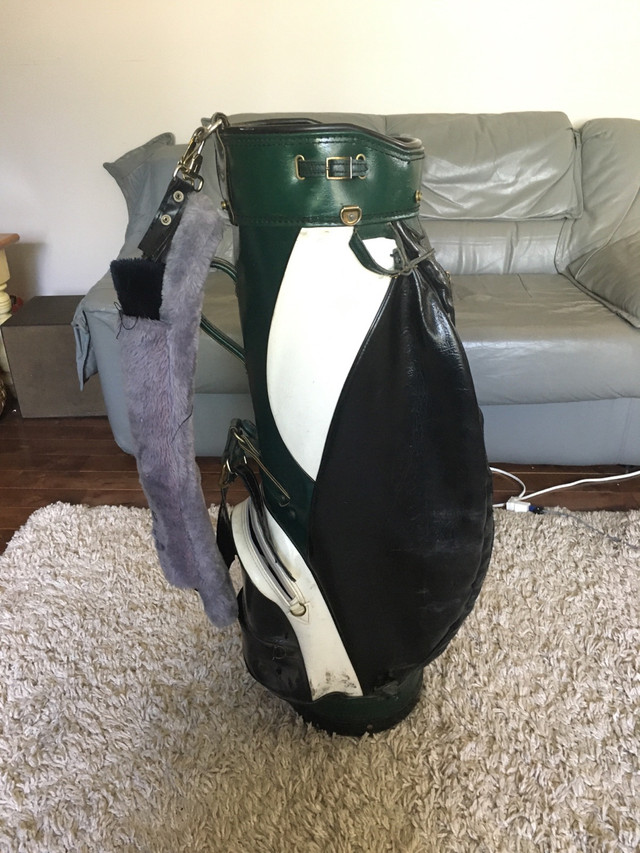 CART Bag in Golf in Edmonton