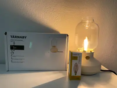 The visible light bulb emulates a live flame and you can adjust the brightness with the built-in dim...