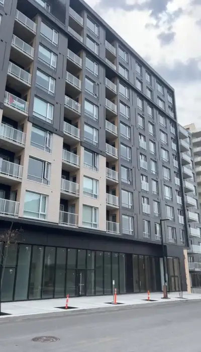 lease transfer or monthly rental 1 bedroom apartment