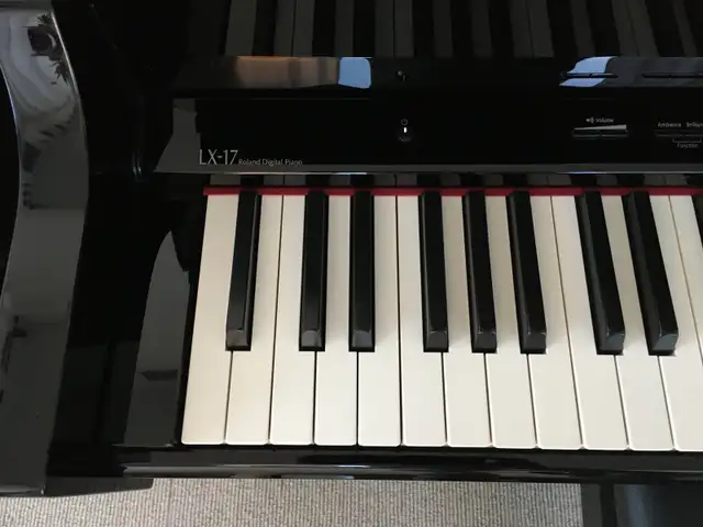 Roland LX-17 Piano for sale - Excellent condition. $3500* in Pianos & Keyboards in City of Toronto - Image 6