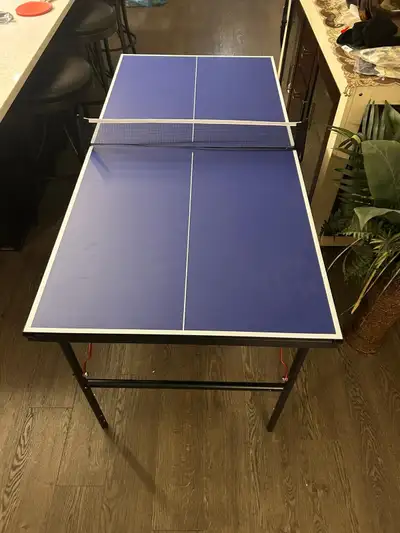 Ping Pong Table, View more