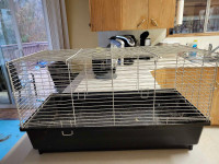 Free Small Cage