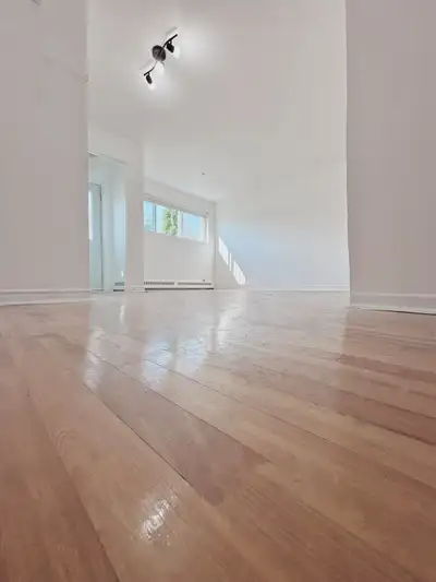 Beau et grand 5 1/2 à louer (1200 pied carrés)  Longueuil