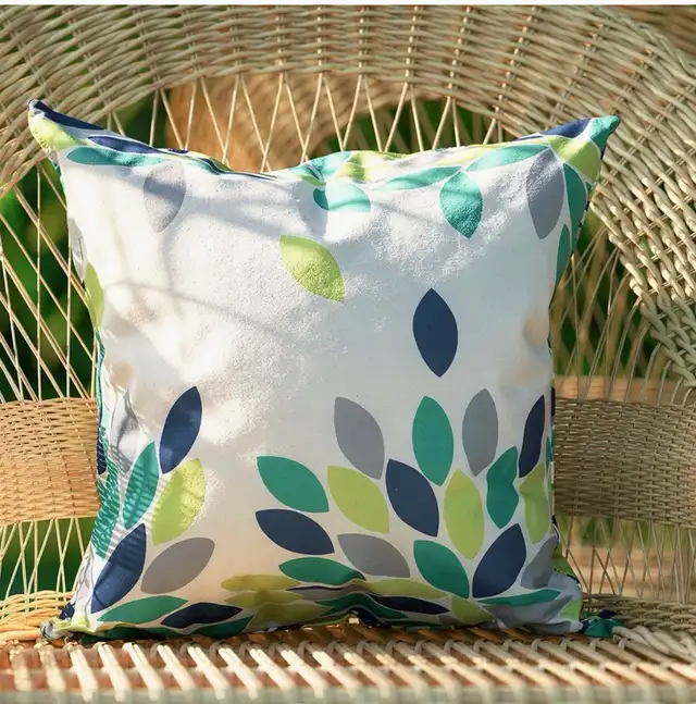 throw pillows 466871157303562244