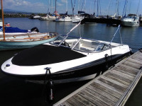 Bateau 2013 Bayliner 195 luxe, 19,5 pieds