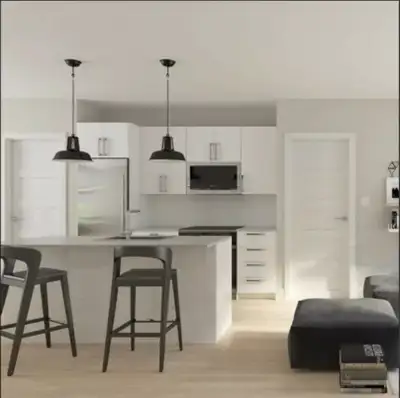 Sublime condo (4 1/2) entre Parc Lafontaine et Avenue Mont Royal