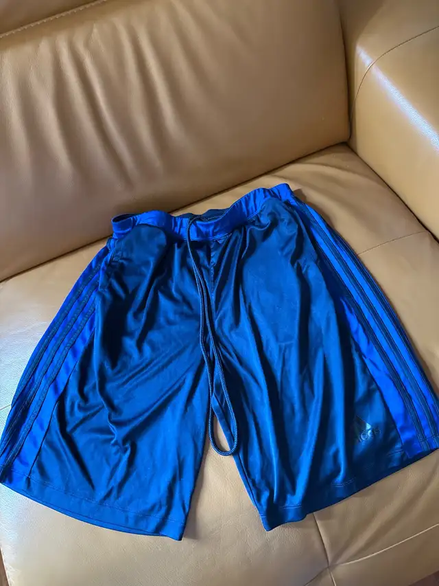 Size large adidas short 64357849301890120