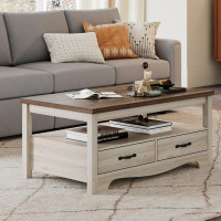 Coffee Table with Storage White & Brown RTA
