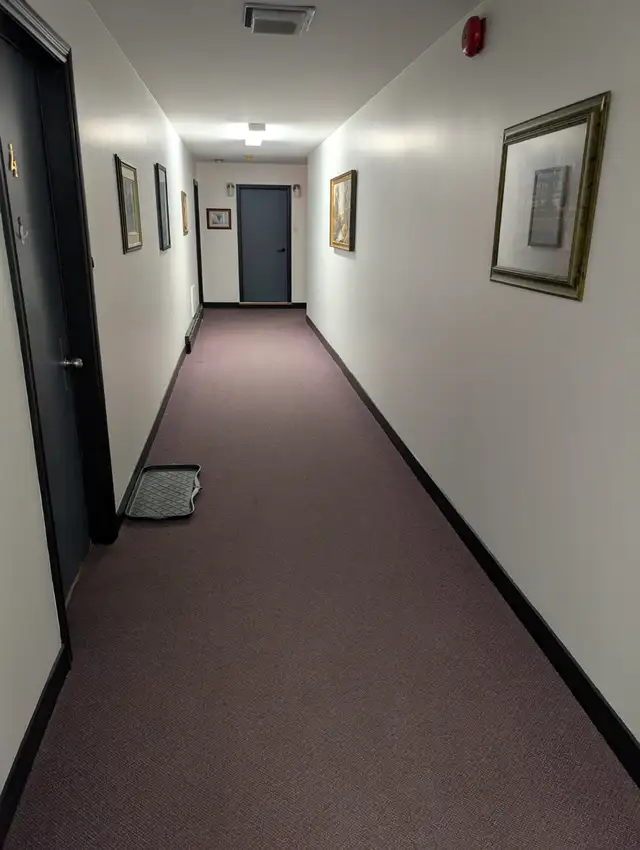 Newly renovated two bedroom