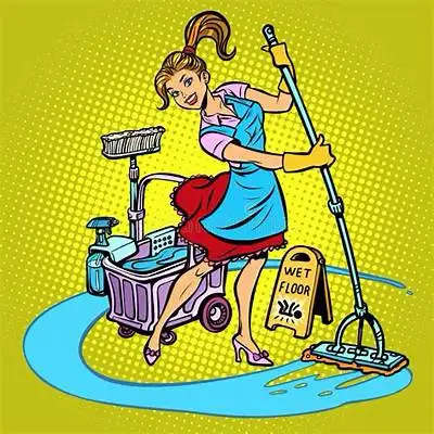 Professional Cleaning Services 410021109065984000