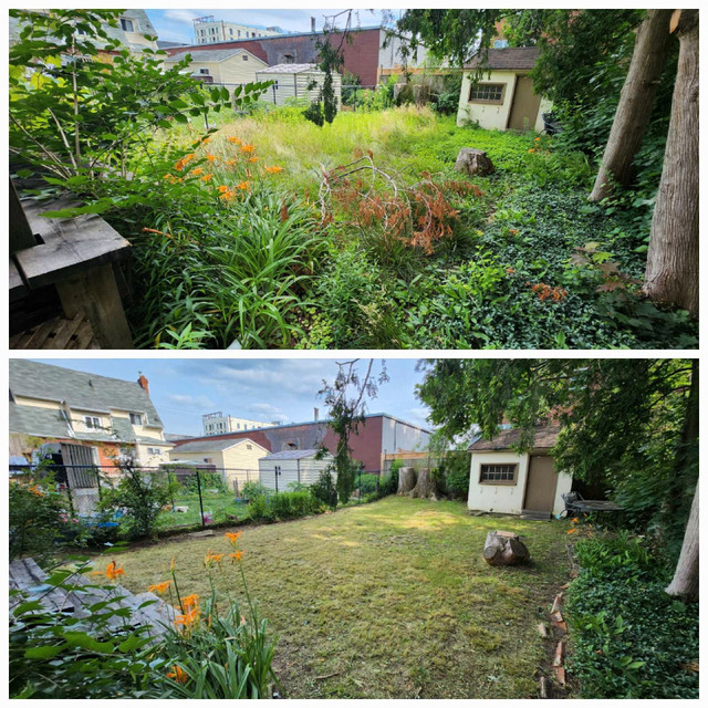 Fall Cleanup, Junk Removal, Lawn and Garden, Deliveries - Hamilton in Other in Hamilton - Image 3