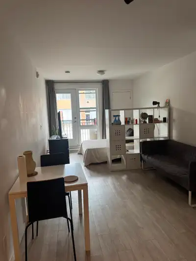 FR: Studio 1½ meublé près de l’angle des rues Papineau/Beaubien à Montréal, disponible à partir du 1...