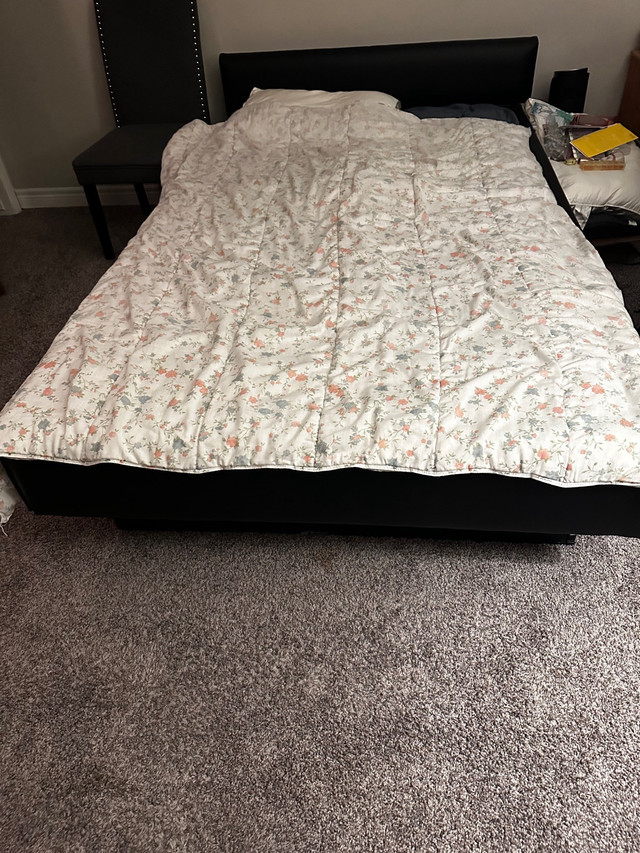 Water bed and frame for sale in Beds & Mattresses in Brantford - Image 2