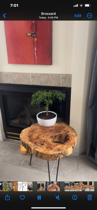 Live edge wood coffee table 