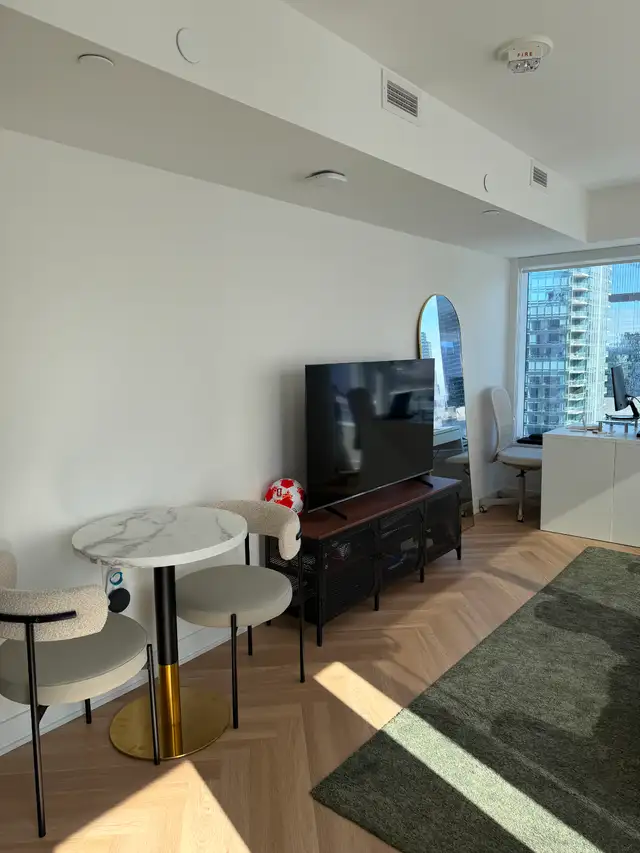 Assignment Lease - August to October - Downtown - Toronto House in Long Term Rentals in City of Toronto - Image 5