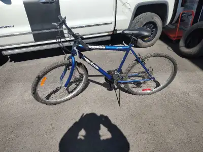Adult Bicycle/Bicyclette Adulte, View more